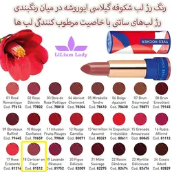 رژ لب مرطوب کننده ایوروشه قرمز اناری شماره 14