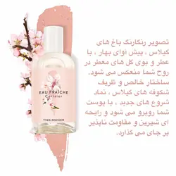 عطر شکوفه گیلاس ایوروشه