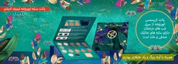 پالت سایه و هایلایتر ایوروشه