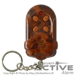 ریموت تگزاس Texas