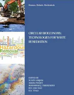 بیومس، سوخت زیستی و بیوشیمیایی: اقتصاد زیستی دایره ای و تکنولوژی برای پاک سازی زباله