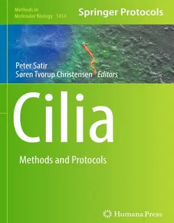مژه Cilia: روش ها و پروتکل ها