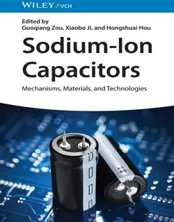 خازن های سدیم-یون: مکانیسم ها، مواد و فناوری ها 2023