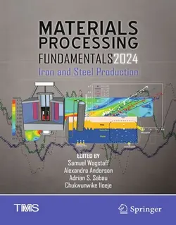 کتاب مبانی و اصول پردازش مواد 2024: تولید آهن و فولاد