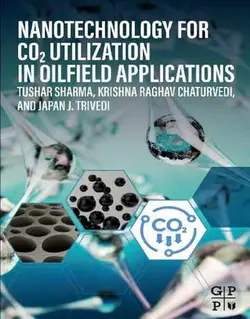 نانوتکنولوژی برای استفاده از CO2 در کاربردهای میدان نفتی 2022