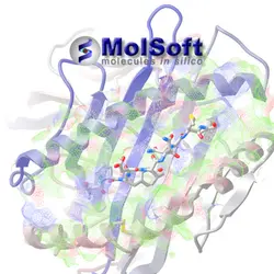 دانلود Molsoft ICM-Pro 3.8-7d نرم افزار شبیه و مدل سازی داکینگ پروتئین ها