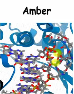 دانلود Amber20 + AmberTools22 نرم افزار شبیه ساز دینامیک مولکولی