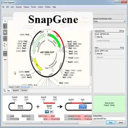 دانلود SnapGene 5.3.1 Win/ Mac نرم افزار بیوشیمی شبیه سازی توالی DNA