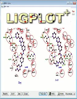 دانلود LigPlot+ 1.4.5 نرم افزار رسم دو بعدی لیگاند-پروتئین