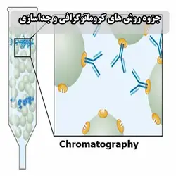 دانلود جزوه آموزش جامع انواع روش های کروماتوگرافی و جداسازی