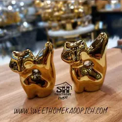 اکسسوری سینی روباه