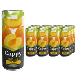 آبمیوه زردآلو کاپی Cappy