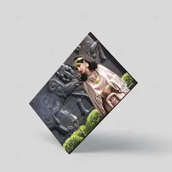 تابلو شاسی طرح بانوی هخامنشی در تخت جمشید کد 4G120