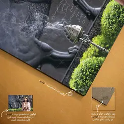 تابلو شاسی طرح بانوی هخامنشی در تخت جمشید کد 4G120