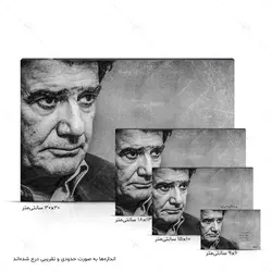 تابلو شاسی طرح محمدرضا شجریان کد 4G140