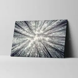 تابلو شاسی طرح جنگل بی‌برگ پاییزی کد 4G-AVZ-6020