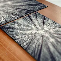 تابلو شاسی طرح جنگل بی‌برگ پاییزی کد 4G-AVZ-6020