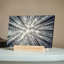 تابلو شاسی طرح جنگل بی‌برگ پاییزی کد 4G-AVZ-6020