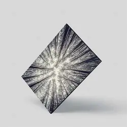 تابلو شاسی طرح جنگل بی‌برگ پاییزی کد 4G-AVZ-6020