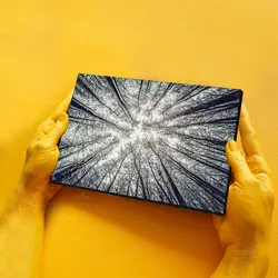 تابلو شاسی طرح جنگل بی‌برگ پاییزی کد 4G-AVZ-6020