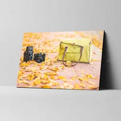 تابلو شاسی طرح کیف، دوربین و برگ‌های پاییزی کد 4G-AVZ-6016