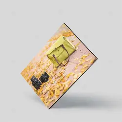 تابلو شاسی طرح کیف، دوربین و برگ‌های پاییزی کد 4G-AVZ-6016