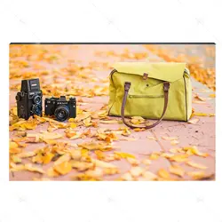 تابلو شاسی طرح کیف، دوربین و برگ‌های پاییزی کد 4G-AVZ-6016