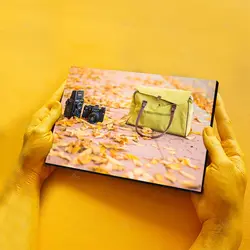 تابلو شاسی طرح کیف، دوربین و برگ‌های پاییزی کد 4G-AVZ-6016