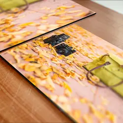 تابلو شاسی طرح کیف، دوربین و برگ‌های پاییزی کد 4G-AVZ-6016