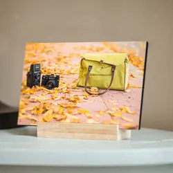 تابلو شاسی طرح کیف، دوربین و برگ‌های پاییزی کد 4G-AVZ-6016