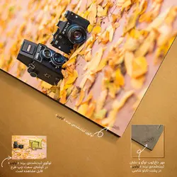 تابلو شاسی طرح کیف، دوربین و برگ‌های پاییزی کد 4G-AVZ-6016