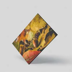 تابلو شاسی طرح بلوط در میان برگ‌های پاییزی کد 4G-AVZ-6013