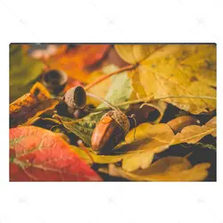 تابلو شاسی طرح بلوط در میان برگ‌های پاییزی کد 4G-AVZ-6013