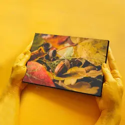 تابلو شاسی طرح بلوط در میان برگ‌های پاییزی کد 4G-AVZ-6013