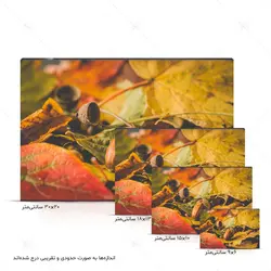 تابلو شاسی طرح بلوط در میان برگ‌های پاییزی کد 4G-AVZ-6013