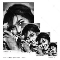 تابلو شاسی طرح پری زنگنه کد 4G213