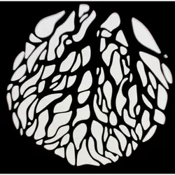 پروژکشن اتچمنت (اسپات لایت) نانلایت مدل Nanlite PJ-BM-19 با لنز 19 درجه | سینما کالا