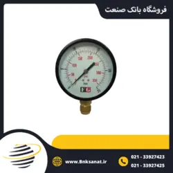 گیج فشار FG چین خشک عمودی صفحه 10 سانتی متر