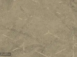 کاغذ دیواری کلاسیک مدل پتینه W10072810 - خرید با قیمت مناسب - والینو