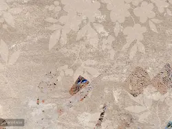 کاغذ دیواری پتینه شعر W12219600 - خرید با قیمت مناسب - والینو