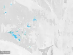 کاغذ دیواری برگ مدرن W12218800 - خرید با قیمت مناسب - والینو