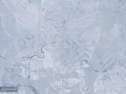 کاغذ دیواری مدل برگ مدرن W12218500 - خرید با قیمت مناسب - والینو