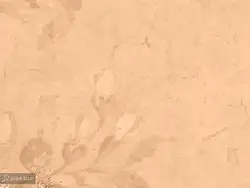 کاغذ دیواری طرح شعر پتینه W10073730 - خرید با قیمت مناسب - والینو