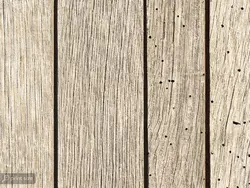 کاغذ دیواری طرح چوب W10112400 - خرید با قیمت مناسب - والینو