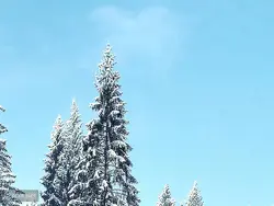 پوستر دیواری طبیعت برفی و زمستانی W10116800 - خرید با قیمت مناسب - والینو