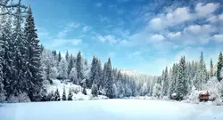 پوستر دیواری طبیعت برفی و زمستانی W10116800 - خرید با قیمت مناسب - والینو