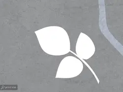 کاغذ دیواری طرح برگ و شاخه W10124300 - خرید با قیمت مناسب - والینو