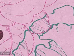 پوستر دیواری دخترانه پاریس W10137300 - خرید با قیمت مناسب - والینو