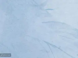 کاغذ دیواری طرح برگ W10148600 - خرید با قیمت مناسب - والینو