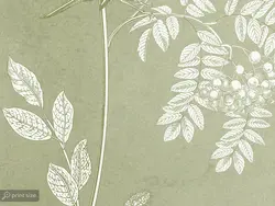 کاغذ دیواری طرح برگ و پرنده W10152200 - خرید با قیمت مناسب - والینو